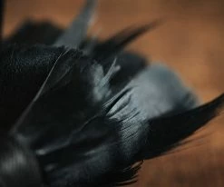 Rice - Brackish Goose Feather Bow Tie