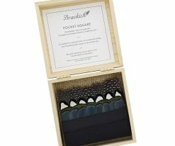 Cheapest ๐ฏ Brackish Men Big Bay - Pheasant Feather Pocket Square โจ 10 Brackish Men Big Bay - Pheasant Feather Pocket Square