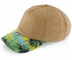 California Dreaming - Dorfman Pacific Green Toyo Straw Blend Baseball Cap Men