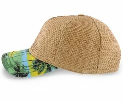 California Dreaming - Dorfman Pacific Green Toyo Straw Blend Baseball Cap Men