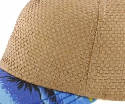 California Dreaming - Dorfman Pacific Green Toyo Straw Blend Baseball Cap Men