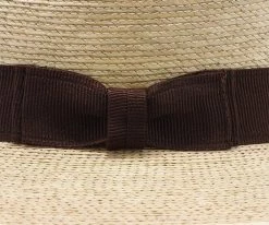 Sunbody Explorer, 2 1/2